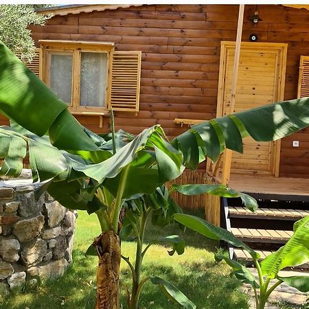Derin Tas-Bungalow Datça Zewnętrze zdjęcie