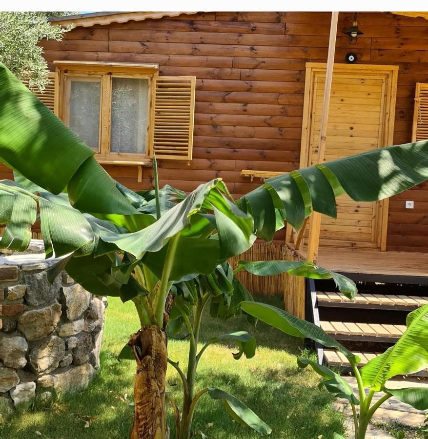 Derin Tas-Bungalow Datça Zewnętrze zdjęcie